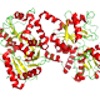 ラクトフェリンを拡大したイメージ図。鉄分を奪うタンパク質。